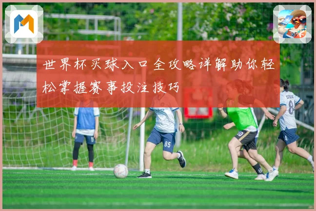 世界杯买球入口全攻略详解助你轻松掌握赛事投注技巧