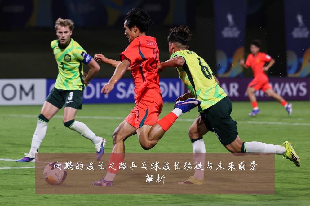 向鹏的成长之路乒乓球成长轨迹与未来前景解析